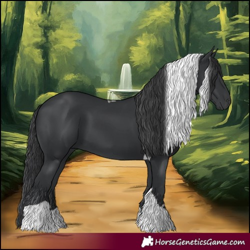 Horse Color:Black Tobiano 