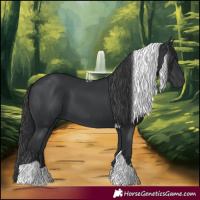 Horse Color:Black Tobiano 