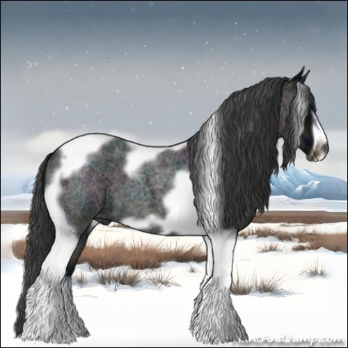 Horse Color:Midnight Blue Roan Tobiano Frame 