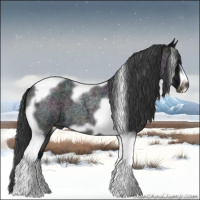 Horse Color:Midnight Blue Roan Tobiano Frame