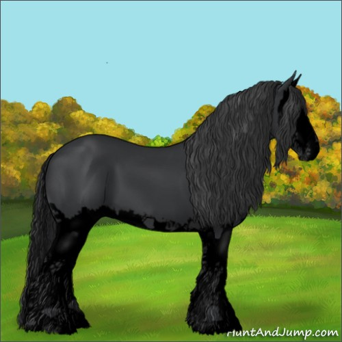 Horse Color:Void Black Splash 