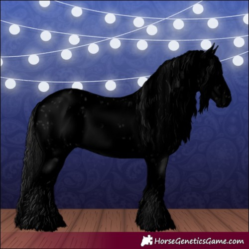 Horse Color:Void Black Splash Frame Appaloosa Rabicano 