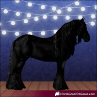 Horse Color:Void Black Splash Frame Appaloosa Rabicano