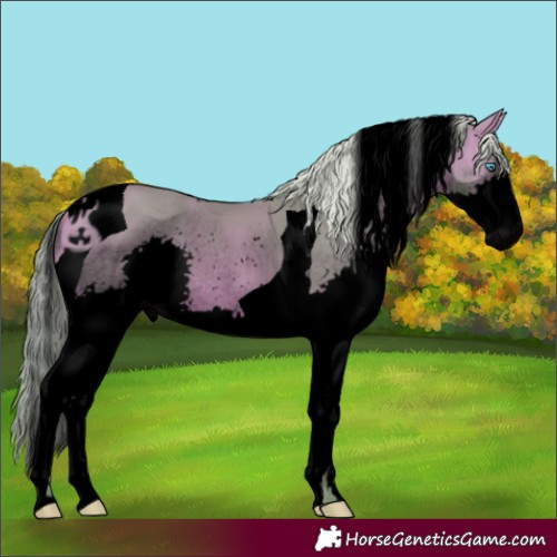 Horse Color:Void Watercolor Silver Bay Splash Tobiano