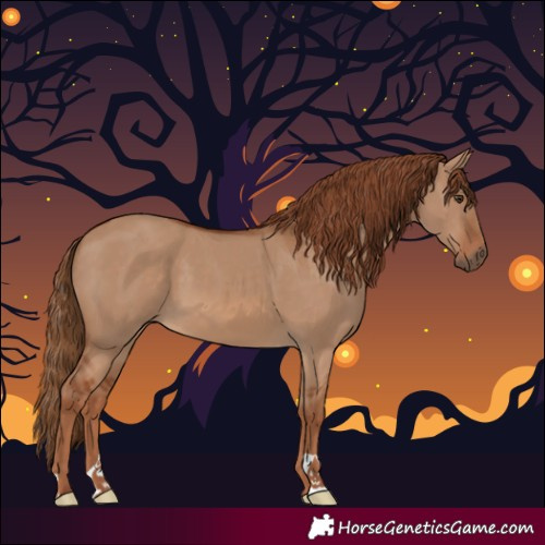 Horse Color:Red Dun