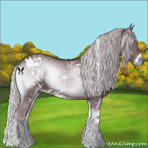 Horse Color:White Spotted Chocolate Silver Blue Onyx Chinchilla 
