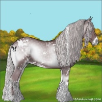 Horse Color:White Spotted Chocolate Silver Blue Onyx Chinchilla 