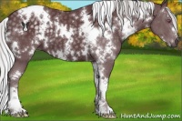 Horse Color:White Spotted Chocolate Silver Black Chinchilla 