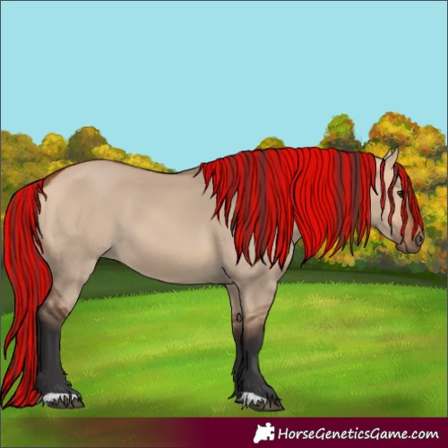 Horse Color:Painted Bay Dun 