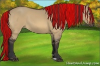 Horse Color:Painted Bay Dun 