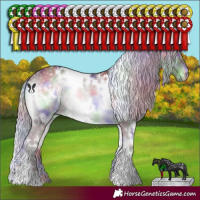 Horse Color:Nacre White Spotted Chocolate Silver Blue Onyx Chinchilla 