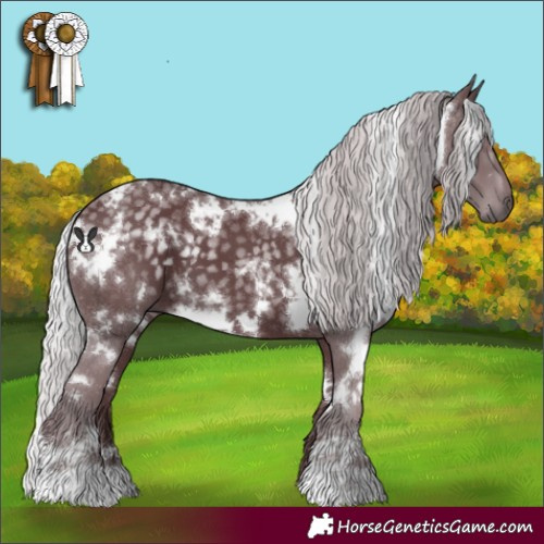 Horse Color:White Spotted Chocolate Silver Black Chinchilla 