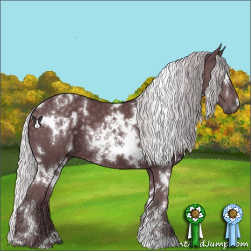 Horse Color:White Spotted Chocolate Silver Black Chinchilla 