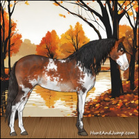 Horse Color:Bay Sabino 