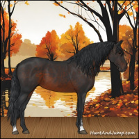 Horse Color:Brown Sabino 