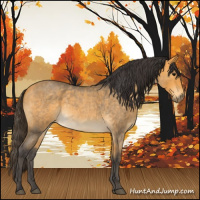 Horse Color:Buckskin Roan Sabino Rabicano