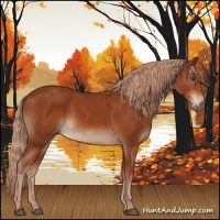 Horse Color:Chestnut Sabino Rabicano 