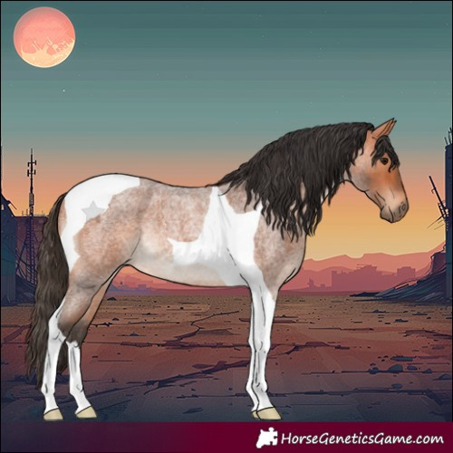 Horse Color:Bay Roan Tobiano Rabicano 