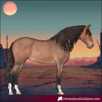 Horse Color:Bay Roan Rabicano