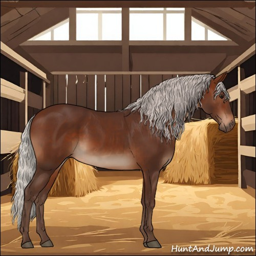 Horse Color:Silver Brown