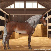 Horse Color:Silver Brown