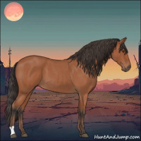 Horse Color:Bay Roan 