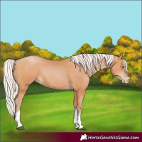 Horse Color:Silver Bay Pearl Tobiano 