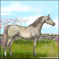 Horse Color:Chocolate Palomino Ice Dun Mushroom 