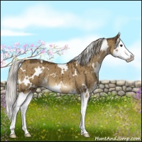 Horse Color:White Spotted Chocolate Palomino Dun Splash Brindle 