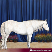 Horse Color:Perlino Sabino and Perlino Sabino