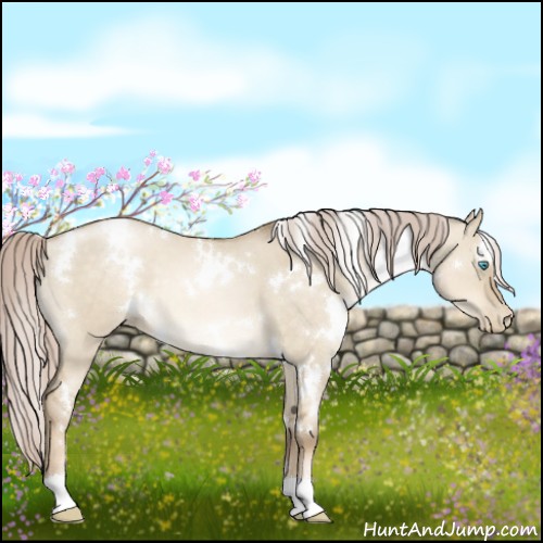 Horse Color:White Spotted Chocolate Palomino Pearl Dun 