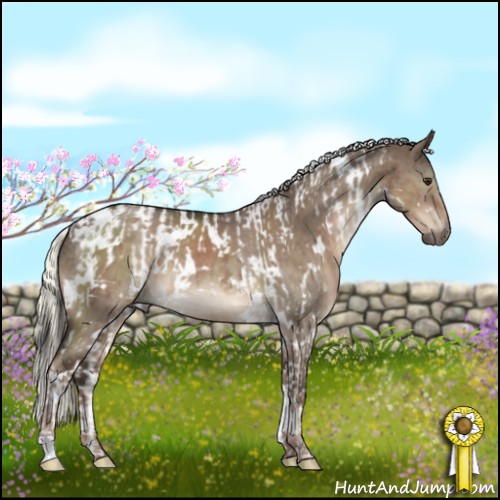 Horse Color:White Spotted Liver Red Dun Tobiano  and White Spotted Liver Red Dun Mushroom 