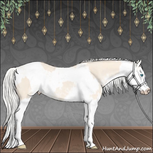 Horse Color:Cremello Sabino and Cremello Sabino