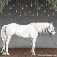 Horse Color:Cremello Sabino  and Cremello Sabino 