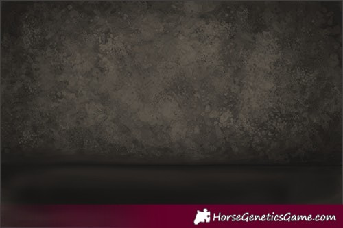 Horse Color:White Spotted Liver Chestnut Pearl 