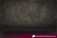 Horse Color:White Spotted Liver Chestnut Pearl 