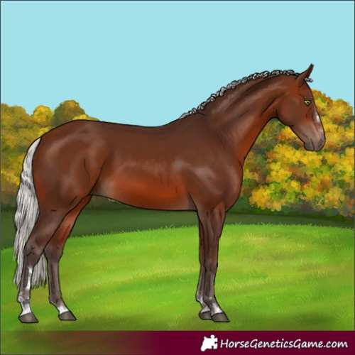 Horse Color:Silver Brown