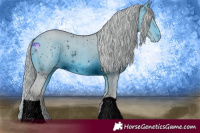 Horse Color:ERROR: UNKNOWN ANOMALY