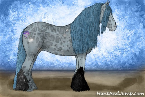 Horse Color:ERROR: UNKNOWN ANOMALY