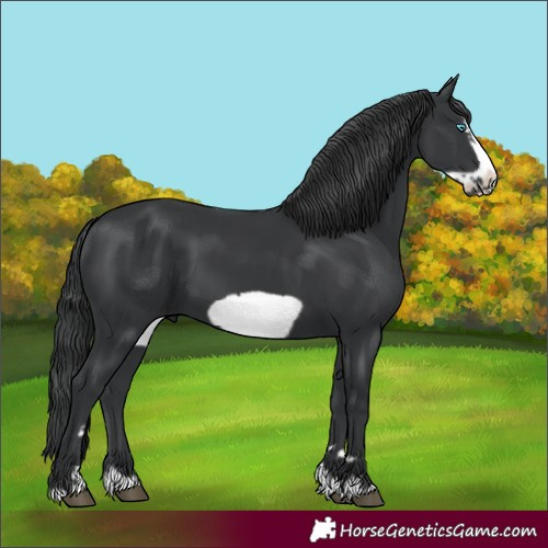 Horse Color:Black Frame 