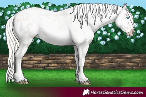 Horse Color:Gold Cream Champagne Pearl Near Leopard