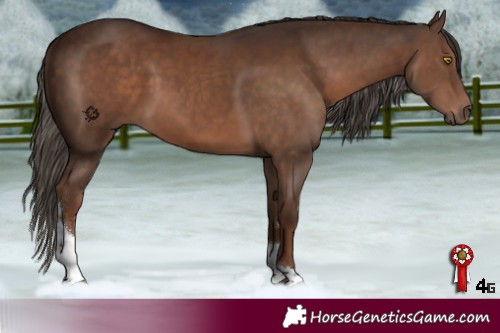 Horse Color:Liver Chestnut Tobiano 