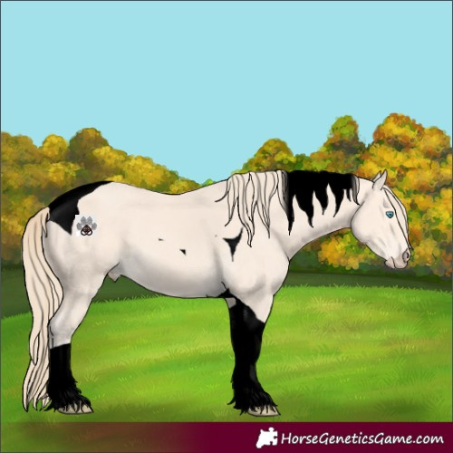 Horse Color:Void Perlino Tobiano 