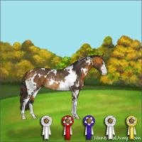Horse Color:White Spotted Buckskin Sabino Rabicano