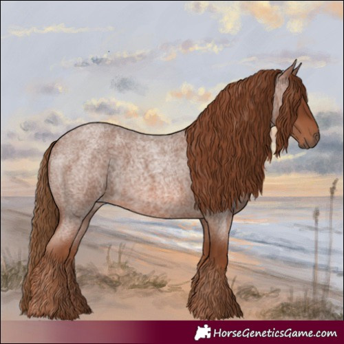 Horse Color:Red Roan 