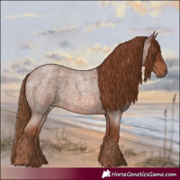 Horse Color:Red Roan