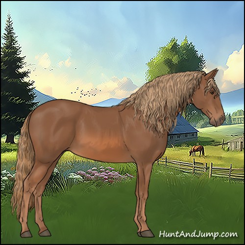 Horse Color:Chestnut 