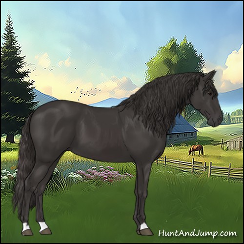 Horse Color:Smoky Black 
