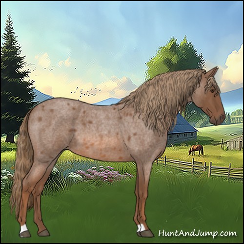 Horse Color:Red Roan