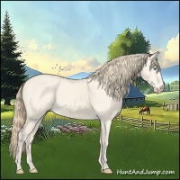 Horse Color:Perlino Dun